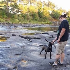 Meet your Posher, Ben